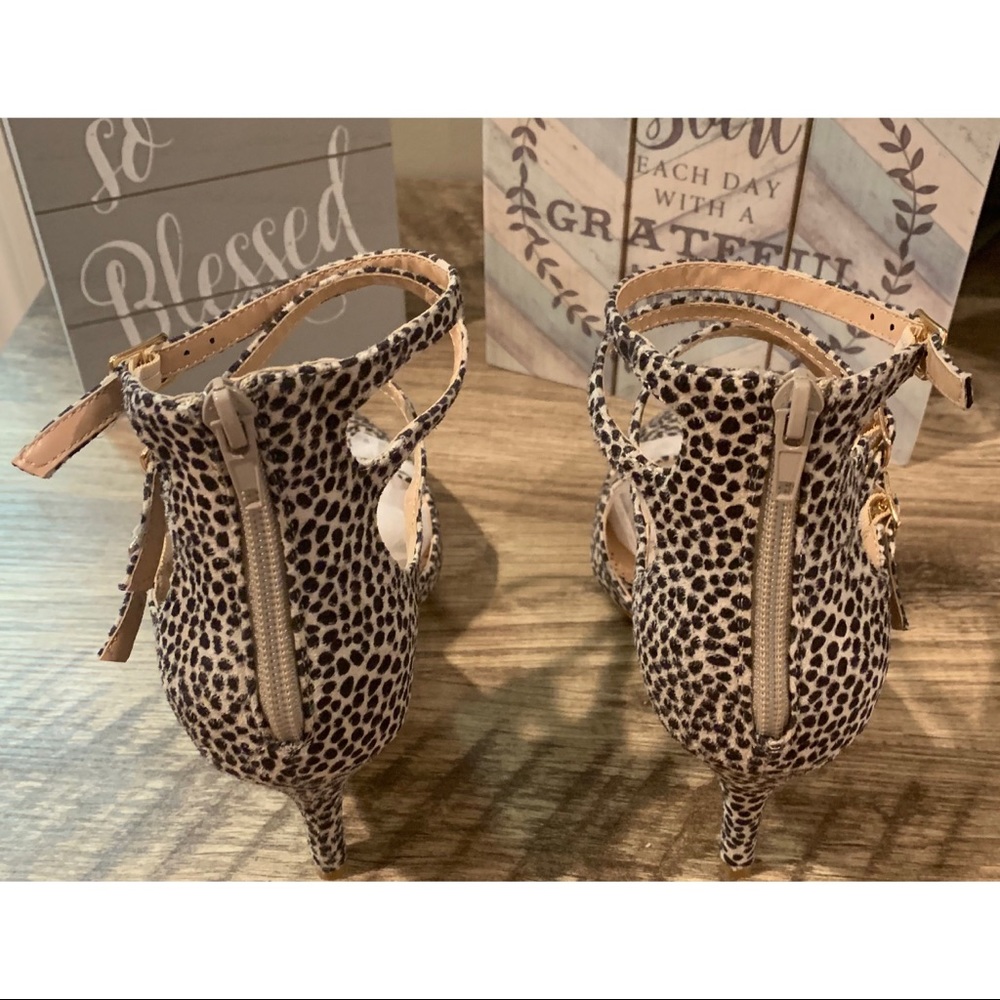 Cheetah pump. - Picture 5 of 6